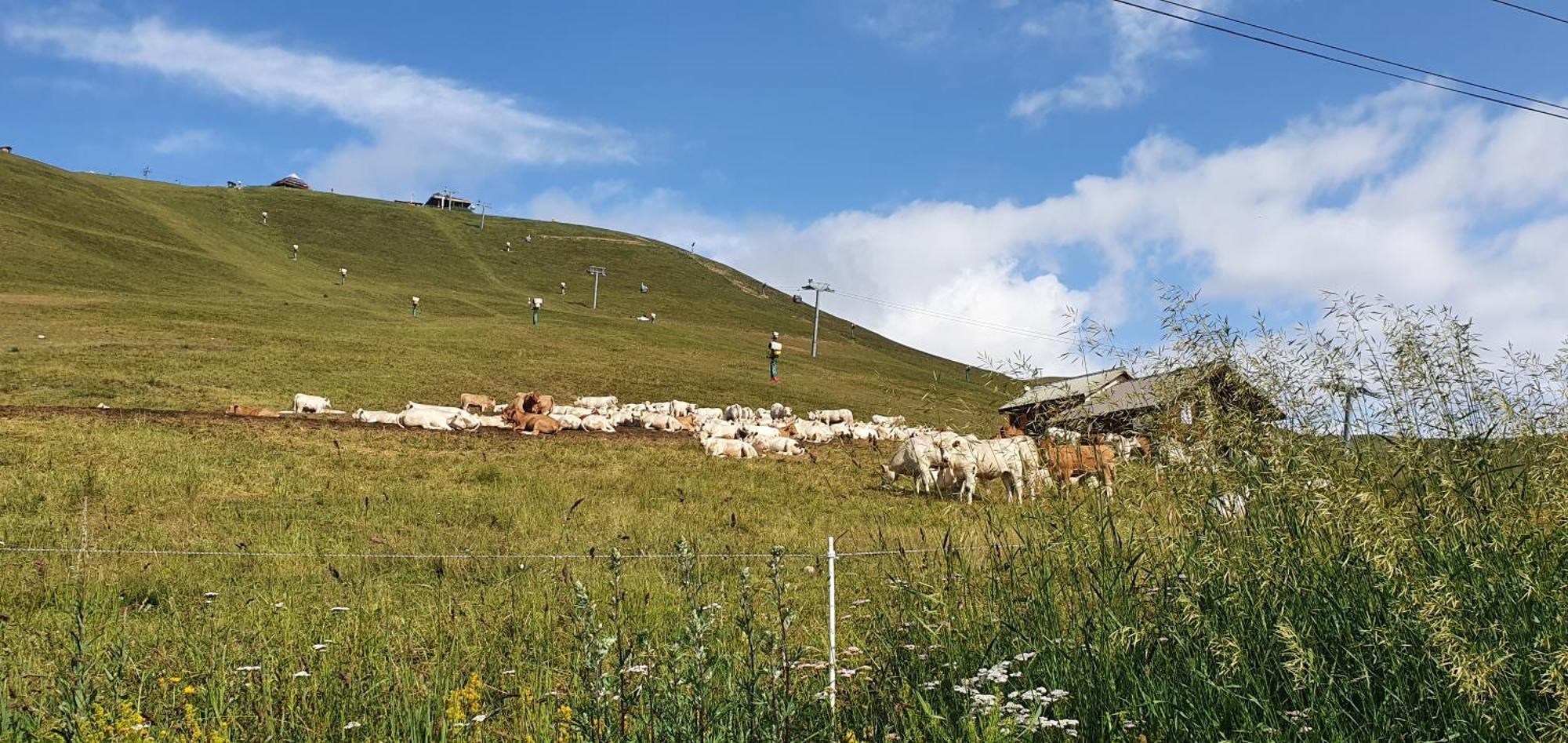 *Nouveau* Pied Des Pistes * Piscine Ext. Chauffee* Alpe d'Huez ภายนอก รูปภาพ